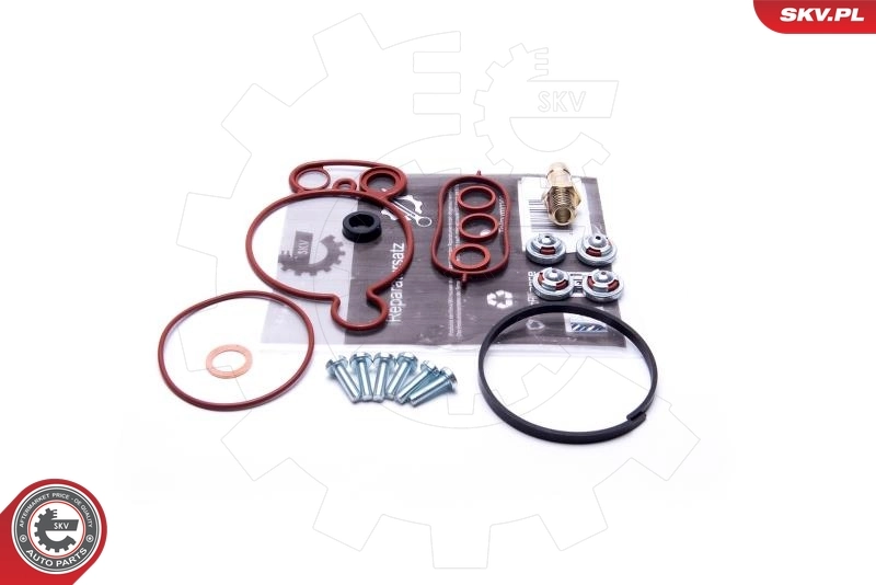 Repair Set, vacuum pump (braking system)